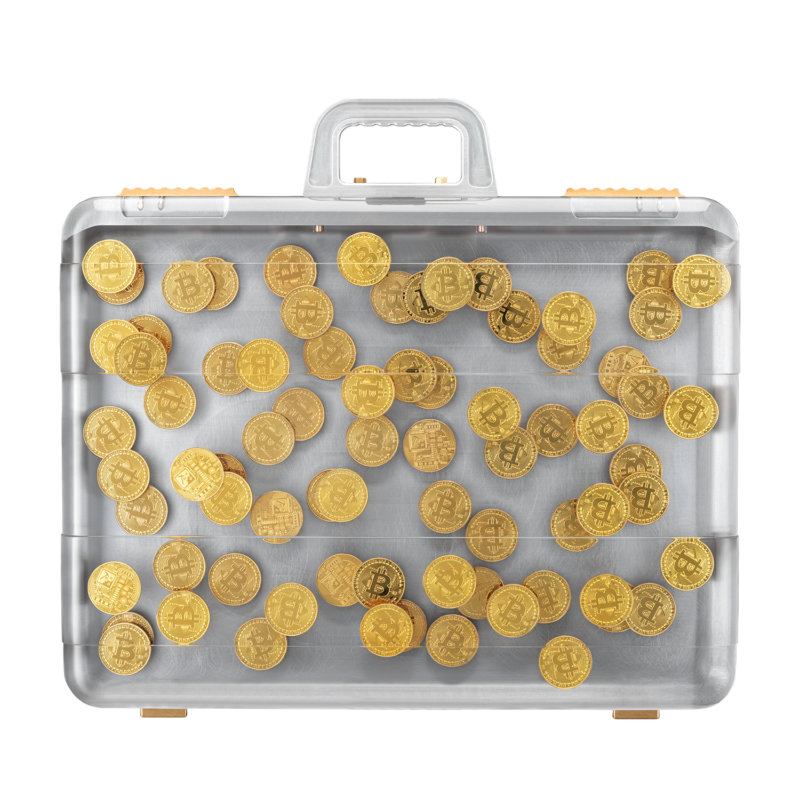 The Case