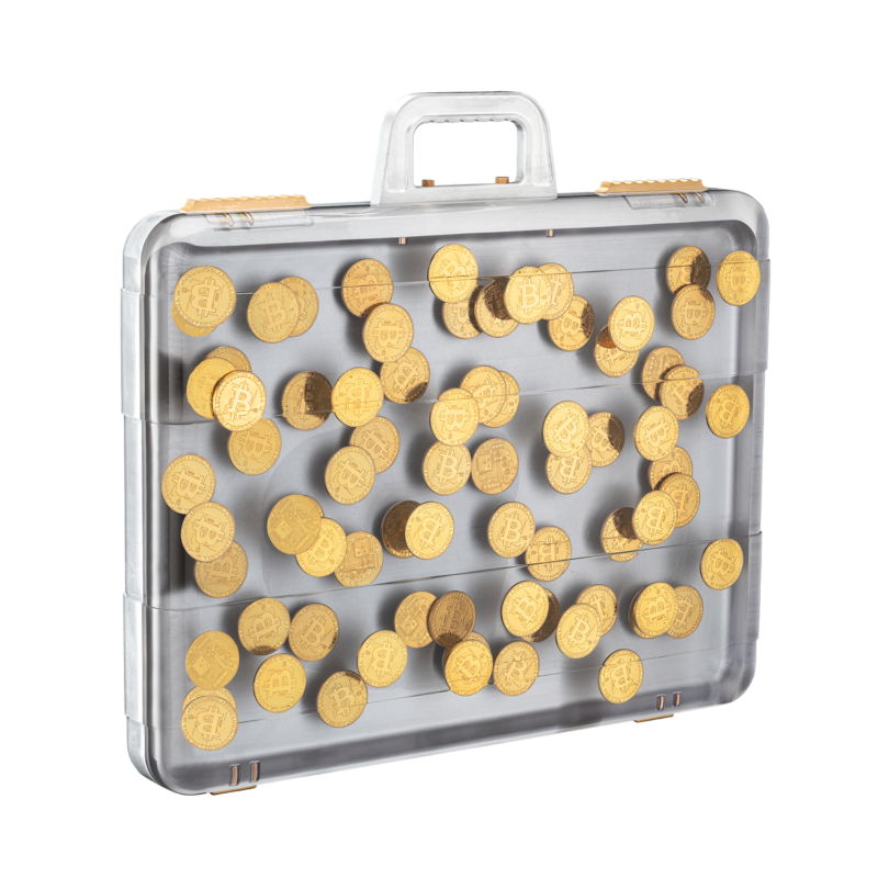 The Case