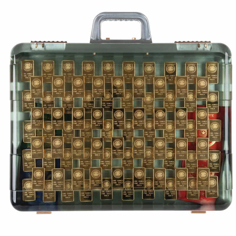 The Case