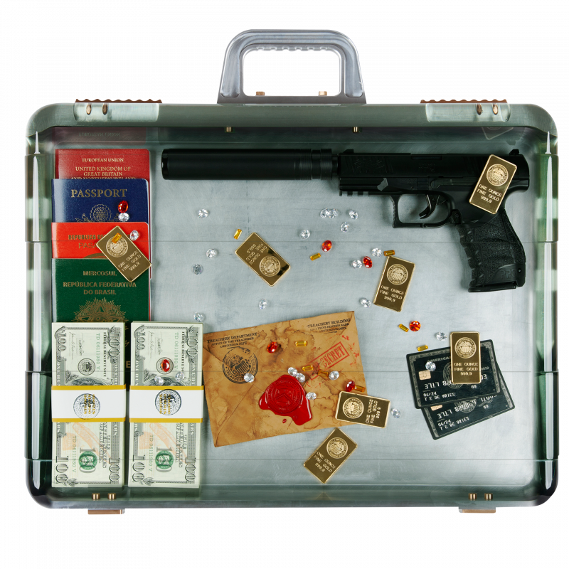 The Case