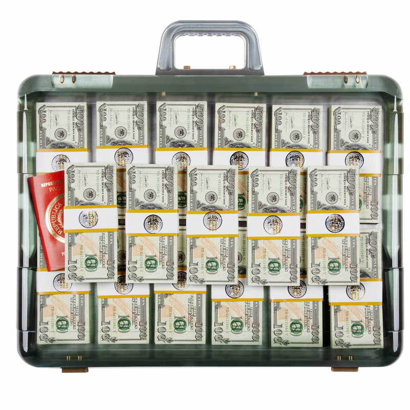 The Case